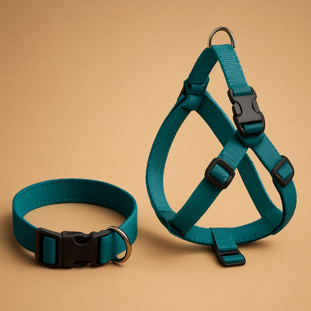 Featured image for Dog Collar vs Dog Harness: Which Is Best for Your Pet?