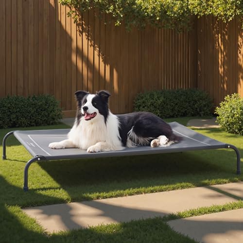 Bedsure elevated mesh dog bed compared with padded foam dog beds