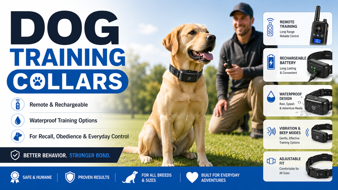 Featured image for Dog Training Collar Review: Top Features, Pros, and Cons Explained