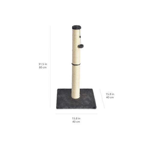 Amazon Basics Cat Scratching Post for Indoor Cats & Kittens, Medium (31.5"H), Cat Furniture with Dangling Ball Toy, Grey