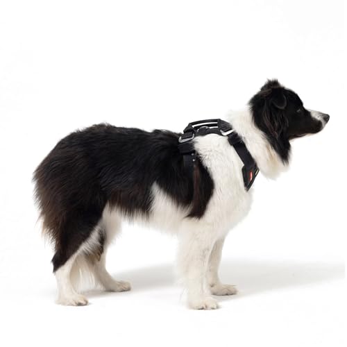 Ezydog Drive Dog Car Harness – Crash Tested and Certified (US-FMVSS 213) Dog Seat Belt Harness for Safe Travel, Adjustable with Padded Comfort (Medium)
