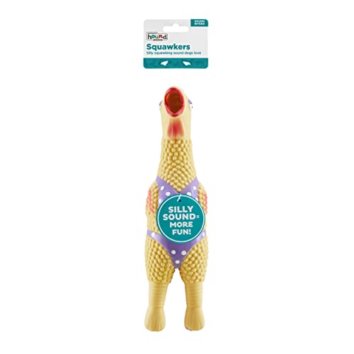 Outward Hound by Charming Pet Squawkers Henrietta Latex Squeaky Rubber Chicken Dog Toy, Funny Interactive Holiday Toy for Dogs, Small Size