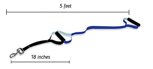Leash Boss Original - Heavy Duty Dog Leash for Large Dogs - No Pull Double Handle Training Lead for Walking Big Dogs - Dog Leashes with Padded Handle for Control and Safety (Blue)