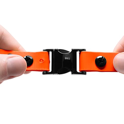 Educator 3/4-Inch Quick Snap Biothane Bungee Dog Training Collar Strap – Fits ET-300, ET-400, ME-300, EZ-900, PE-900 & PG-300 Receivers Only – 5"–22.5" Neck Sizes, Orange