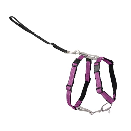 PetSafe 3 in 1 No-Pull Dog Harness for Medium Dogs- Walk, Train or Travel - Helps Pets from Pulling on Walks - Seatbelt Loop Doubles as Quick Access Handle - Reflective - Medium, Plum