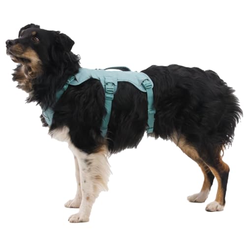 Ruffwear, Web Master, Multi-Use Support Dog Harness, Hiking and Trail Running, Service and Working, Everyday Wear, River Rock Green, Small