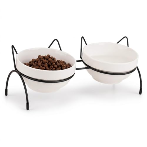 Cat Food Water Bowl Set, Double Ceramic Pet Bowls with 15°Tilted Raised Stand, Elevated Feeding Station with Two Removable Bowls, Raised Cat Bowl, Anti Vomiting Pet Dish Feeder, Kitten and Small Dogs