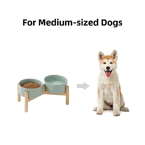 Havniva 6.1inch Ceramic Raised Dog Bowl with Stand, Double Dog Bowls Elevated for Small and Medium Breed Dog Food and Water Bowl Set Non-Slip Dog Dish Large Capacity Feeding Pet Water Bowl