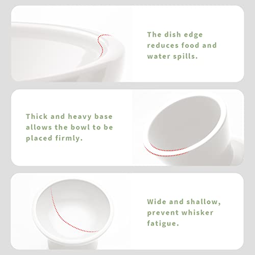 CEEFU Extra Wide Elevated Ceramic Cat Bowl - 6.2" Shallow Dish for Whisker Fatigue Relief, 5" Height for Easy Feeding, Lead & Cadmium Free, Durable Raised Cat Food Bowls, White