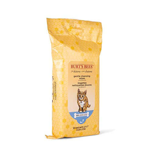 Burt's Bees for Pets Kitten Grooming Wipes with Buttermilk and Honey, Waterless Cat Bath Wipes for Face, Paws, Tail and Coat Cleaning, Gentle Bath Alternative for Indoor Felines, 50 Count