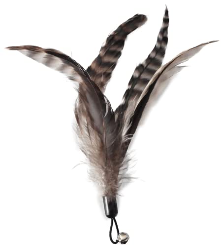EcoCity Cat Toys - No Chemical Dyeing Cat Feather Toys for Indoor Cats - Include Cat Wand and Natural Feather Refills