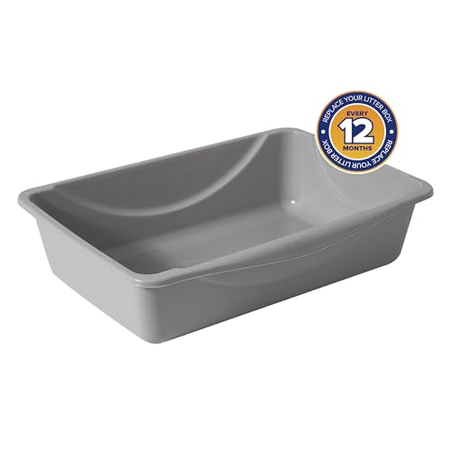 Petmate Basic Open Cat Litter Pan, Multidirectional Easy to Clean Plastic Litter Box, Gray, Made in USA, 14.5" x 10.5" x 3.5", Small Recommended for Kittens and Small Cats