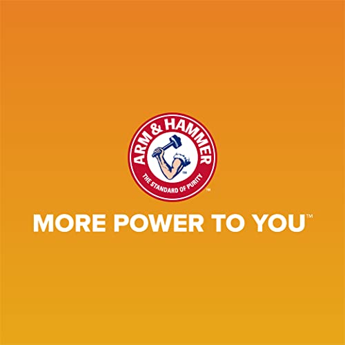 Arm & Hammer Rimmed Cat Litter Box with High Sides and Microban, Made in USA