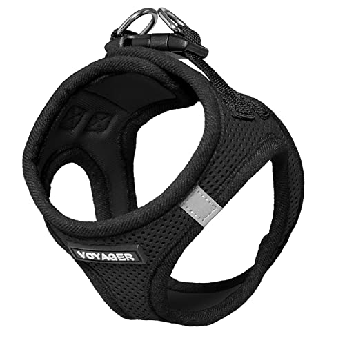 Best Pet Supplies Voyager Step-in Air Harness - All Weather Mesh, Reflective, No Pull Harness for Dogs, Cats - Secure with Hook & Loop Fastener, Buckle, Double D-Rings - Black, M