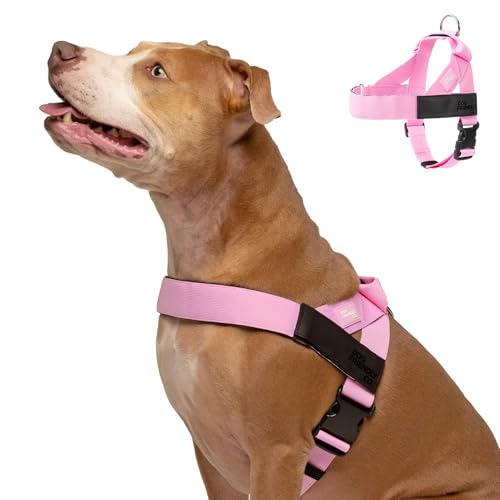 Dog Friendly Co. Dog Harness | Chafe Resistant Webbing, Adjustable Neck & Chest, and Heavy Duty D-Ring | Sturdy, Comfortable, Easy to Use | Pink, Size L