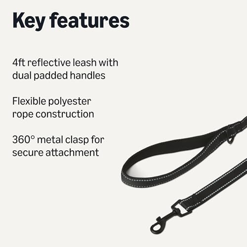 Amazon Basics Dog Leash, 4ft with 2 Comfortable Dual Padded Handles for Traffic Control, Highly Reflective Leashes for Large & Medium Dogs, Night Safety, Easy Snap Hook, Black