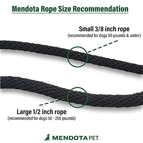 Mendota Pet Slip Leash - Dog Lead and Collar Combo - Made in The USA - for Large Breeds - Black, 1/2 in x 6 ft
