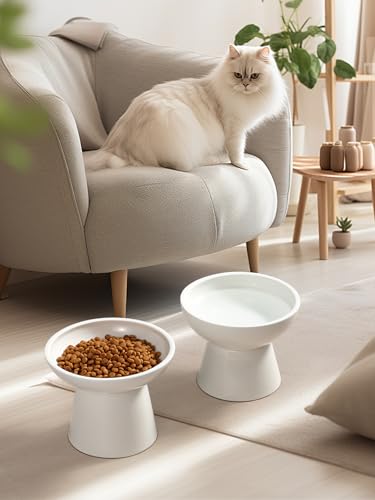 LoeJan Elevated Cat Food and Water Bowls Set, Extra Wide and Raised Ceramic Bowls, Anti-Vomit Whisker-Free Pressure Cat Feeder for Kittens to Adult Cats and Small Dogs (White, Water Bowl)