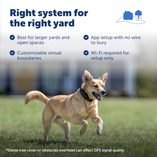 PetSafe Guardian GPS Dog Fence No Subscription Create Your Own Wireless Dog Fence Single-Yard Fence for Yards 3/4 Acres or Larger World's Safest GPS Dog Fence Tech New, Redesigned Collar
