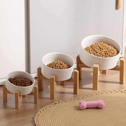 Petygooing White Raised/Elevated 15°Slanted Ceramic Dog Bowl for Small Breeds,Tilted Anti Slip Pet Feeding Bowl,Food Water Dish with Stand for Cats and Small Dogs Puppy 13.5 OZ (5.1In / 1.7 Cups)