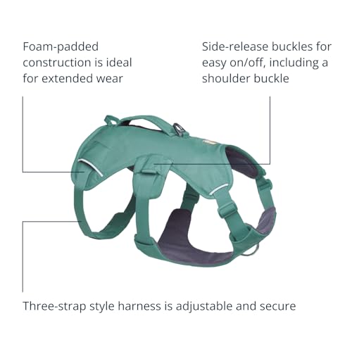 Ruffwear, Web Master, Multi-Use Support Dog Harness, Hiking and Trail Running, Service and Working, Everyday Wear, River Rock Green, Small