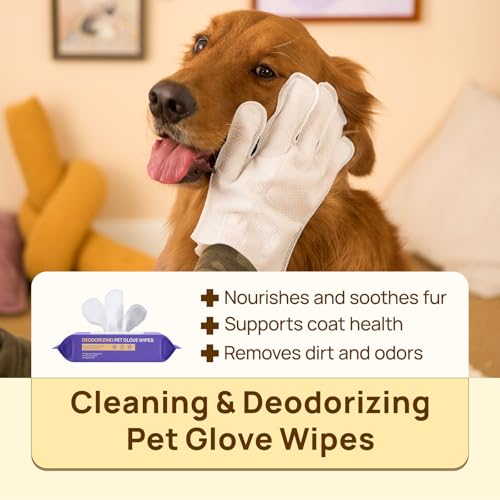 HICC PET Cleaning Deodorizing Glove Wipes for Dogs & Cats, Vet Recommended Hypoallergenic Hydrating & Nourish Fur Pet Grooming Glove Wipes, Pet Bathing Wipes for Horse Coat Care,20pcs Coconut Scent