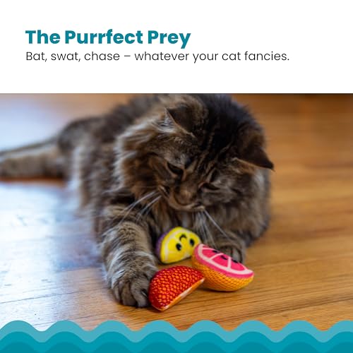 Catstages Dental Fruit Wedges 4 Pk, Soft and Textured Catnip Chew Toys That Help Clean Teeth, Multicolored