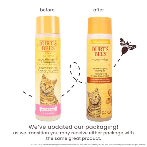 Burt's Bees for Pets Hypoallergenic Cat Shampoo with Shea Butter and Honey, Gentle Formula for Indoor Cats with Dry or Sensitive Skin, pH Balanced, Fragrance-Free, 10 Fl Oz