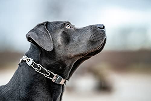 Herm Sprenger Dog Training Prong Collar with Quick Release Cliclock Buckle & Swivel Ring | Adjustable Length German Made Stainless Steel Collar for Small to Medium Dogs Up to 15" Neck (2.25mm Prongs)