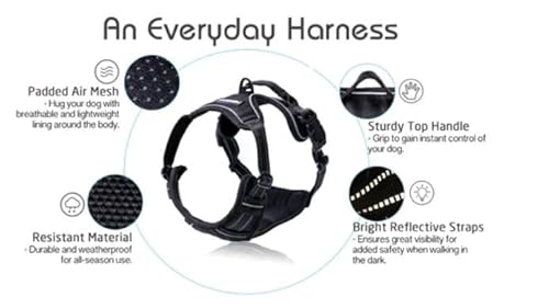 rabbitgoo Dog Harness No Pull with 2 Leash Clips, Adjustable Soft Padded, Reflective Oxford No Choke Pet Vest with Easy Control Handle for Large Dogs, Black, L