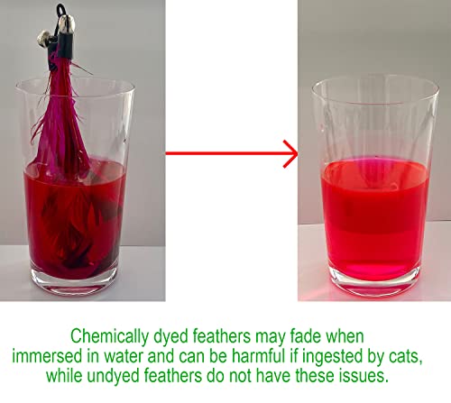 EcoCity Cat Toys - No Chemical Dyeing Cat Feather Toys for Indoor Cats - Include Cat Wand and Natural Feather Refills