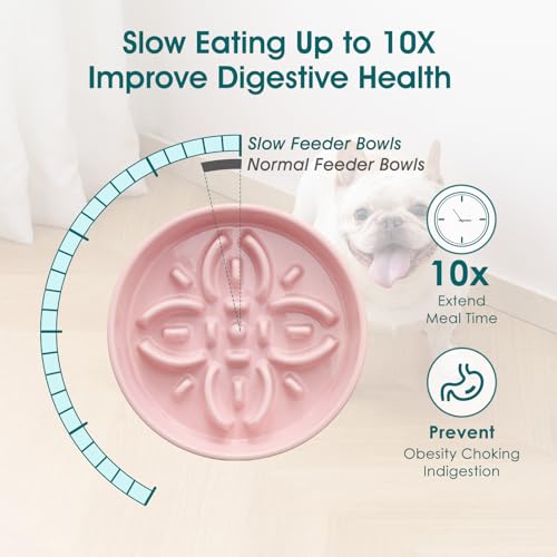 vancasso Ceramic Slow Feeder Dog Bowls, Puzzle Dog Food Bowls with Floral Maze, Anti -Slip Pet Food Dish for Small Breed, 0.6 Cups, Pink