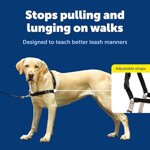 PetSafe Easy Walk No-Pull Dog Harness - Ultimate Harness to Help Stop Pulling - Pull-Free Walks - Take Control & Teach Better Leash Manners - Patented Martingale Loop Design - Black, Large