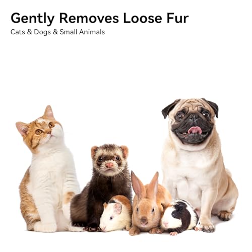 Aumuca Cat Brush for Shedding, Cat Brushes for Indoor Cats, Cat Brush for Long or Short Haired Cats, Cat Grooming Brush Cat Comb for Kitten Rabbit Massage Removes Loose Fur