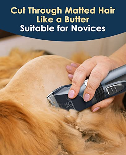 oneisall Quiet Cat Clippers for Matted & Long Hair, 2-Speed Cordless Pet Shaver Grooming Kit for Cats, Small Dogs & Animals (Blue)