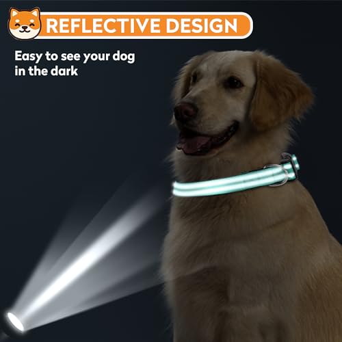 PWOD Reflective Dog Collar, Adjustable Soft Neoprene Padded Nylon Pet Collars with Buckle for Medium Dogs, Teal,M