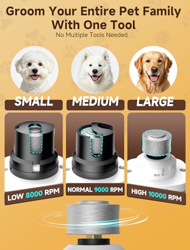 Ckin pet Dog Nail Grinder, Quiet Electric Dog Nail Trimmer with 2 LED Lights, 3-Speed Pet Nail Grinder for Dogs & Cats, Rechargeable 2000mAh Nail Grinder for Small Medium Large Dogs with Light, White