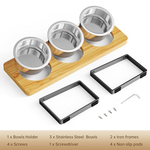Elevated Cat Bowls with 3 Stainless Steel Bowls | 10° Tilted Anti-Vomiting Raised Cat Food Bowl for Small Cats and Puppies Pet Bowl with Stand