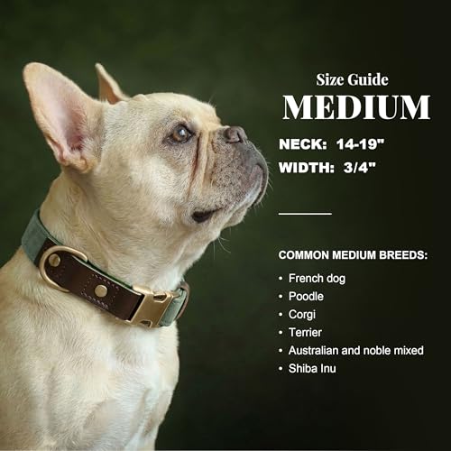 Didog Soft PU Leather Dog Collars for Medium Dogs,Classic Adjustable Dog Collars with Quick Release Metal Buckle,Easy Clean and Comfortable with Nylon Lining,Green,M Neck 14-19"