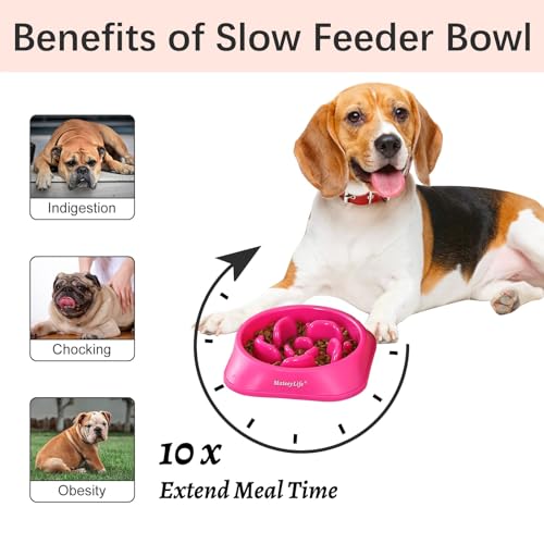 MateeyLife Slow Feeder Dog Bowls 2PCS, Anti-Choking Puzzle Dog Food Bowls, Anti-Slip Interactive Feeding Slow Down Eating, Bloat Stop Maze Dishes for Medium Breeds Pink&Purple
