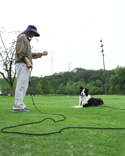 Taglory Long Dog Leash with Removable Padded Handle Tie Out, 15/30/50/66FT Heavy Duty Training Leash with 2 Swivel Hooks for Large Medium Small Dogs Camping, Hiking, Walking, Backyard, Black, 30FT