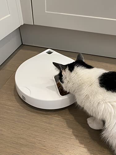 Closer Pets C500 5 Bowl Digital Timer-Controlled Automatic Pet Feeder - 5-Meal Feeder with Stainless Steel Bowl and Ice Packs, Wet or Dry Food, 5 Meals Up to 0.73 lb Each, White
