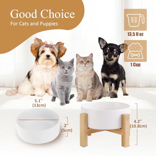 Elevated Ceramic Cat Bowl - Cat Food Bowl with Bamboo Stand - Raised Dog Dish for Puppies - Anti Vomiting, Stress Free - 13.5 oz / 400 ml - White