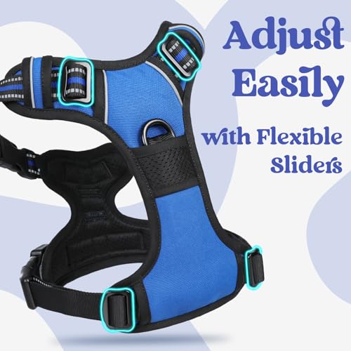 rabbitgoo Dog Harness for Large, No Pull Easy On & Off with 3 Buckles Pet Harness, Adjustable Soft Walking Vest with 2 Clips and Handle, Reflective for Large Dogs, Blue, L