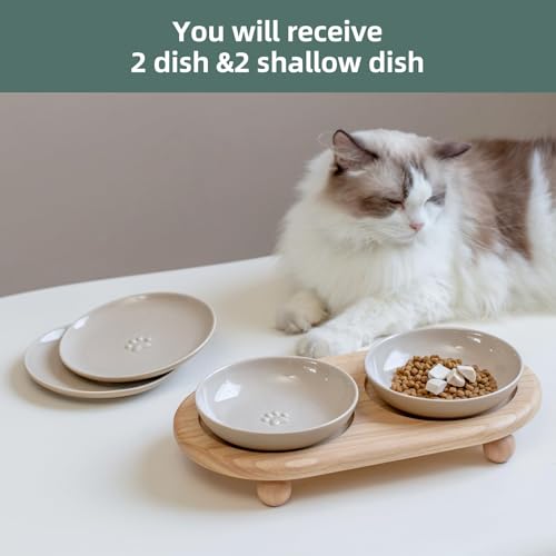 Havniva Cat Bowls Elevated 5.6” Ceramic Cat Bowl with Stand Whisker Friendly Shallow Cat Dishes, Cat Food & Water Bowl Set with Two Heights Options, Anti-Slip Raised Cat Food Bowl for Kitten