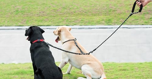 iYoShop Dual Dog Leash - 360° Swivel, No Tangle Walking Leash with Shock Absorbing Bungee for Two Dogs (Large, 25-150 lbs, Black)