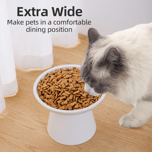 KITCHENLESTAR 6.2 Inch Extra Wide Elevated Ceramic Cat Bowls, Food and Water Bowl Set for Elder Big Cats Small Dogs, Raised Design for Pet Easy Eating, Protect Cat's Spine Set of 2(White)
