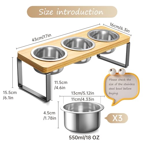 Elevated Cat Bowls with 3 Stainless Steel Bowls | 10° Tilted Anti-Vomiting Raised Cat Food Bowl for Small Cats and Puppies Pet Bowl with Stand