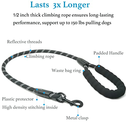 iYoShop Dual Dog Leash - 360° Swivel, No Tangle Walking Leash with Shock Absorbing Bungee for Two Dogs (Medium, 8-35 lbs, Black)