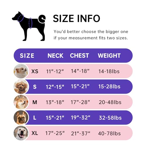 IVY&LANE No Pull Dog Harness for Medium Dogs, Dog Vest Harness with Leash, Safety Belt and Storage Strap, Fully Adjustable Harness, 360° Reflective Strip, Soft Handle (Purple, M)